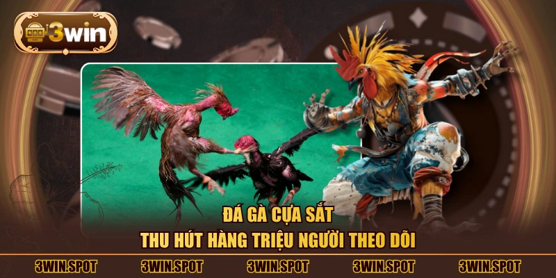 Đá gà cựa sắt thu hút hàng triệu người theo dõi