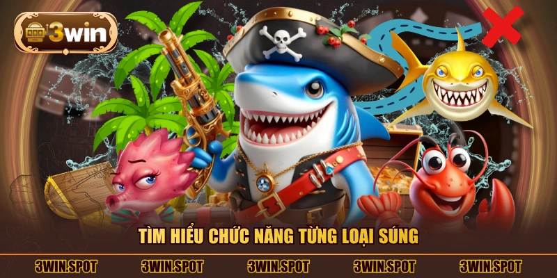 Tìm hiểu chức năng từng loại súng